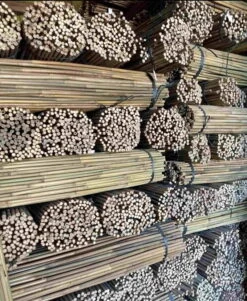 Tyczki Bambusowe 120 Cm 10/12 Mm /50szt -Building Materials Shop 16351737659445781 jpg gallery.big iext97264442
