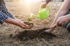 Zestaw Metalowych Narzędzi Ogrodniczych: łopatka, Widełki, Motyczka Uniwersalny -Building Materials Shop 16783109807734013 jpg gallery.big iext126209152