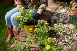 Zestaw Metalowych Narzędzi Ogrodniczych: łopatka, Widełki, Motyczka Uniwersalny -Building Materials Shop 16783109807734014 jpg gallery.big iext126209153