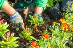 Zestaw Metalowych Narzędzi Ogrodniczych: łopatka, Widełki, Motyczka Uniwersalny -Building Materials Shop 16783109807744015 jpg gallery.big iext126209154