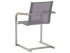 Zestaw 2 Krzeseł Ogrodowych Szary COSOLETO -Building Materials Shop 16791405735268825 png gallery.big iext126593111