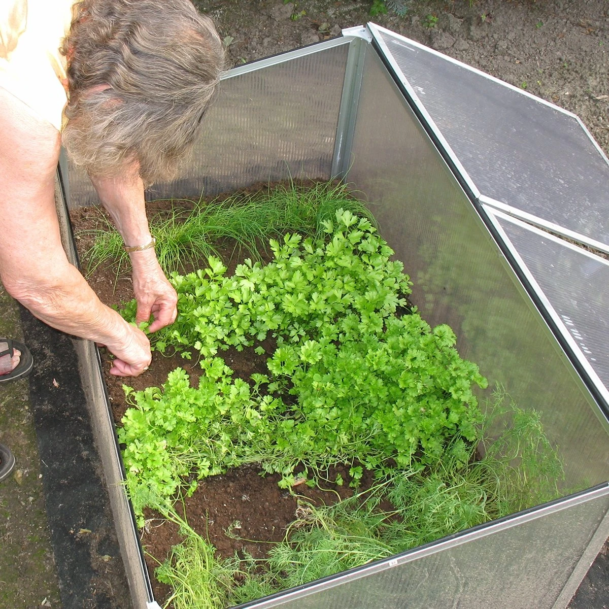 Szklarnia Ogrodowa Poliwęglan Aluminiowa Roślina Warzywo Pomidor Kwiaty 100x60x40 Cm 10 Szklarnia Ogrodowa Poliwęglan Aluminiowa Roślina Warzywo Pomidor Kwiaty 100x60x40 Cm - Image 8